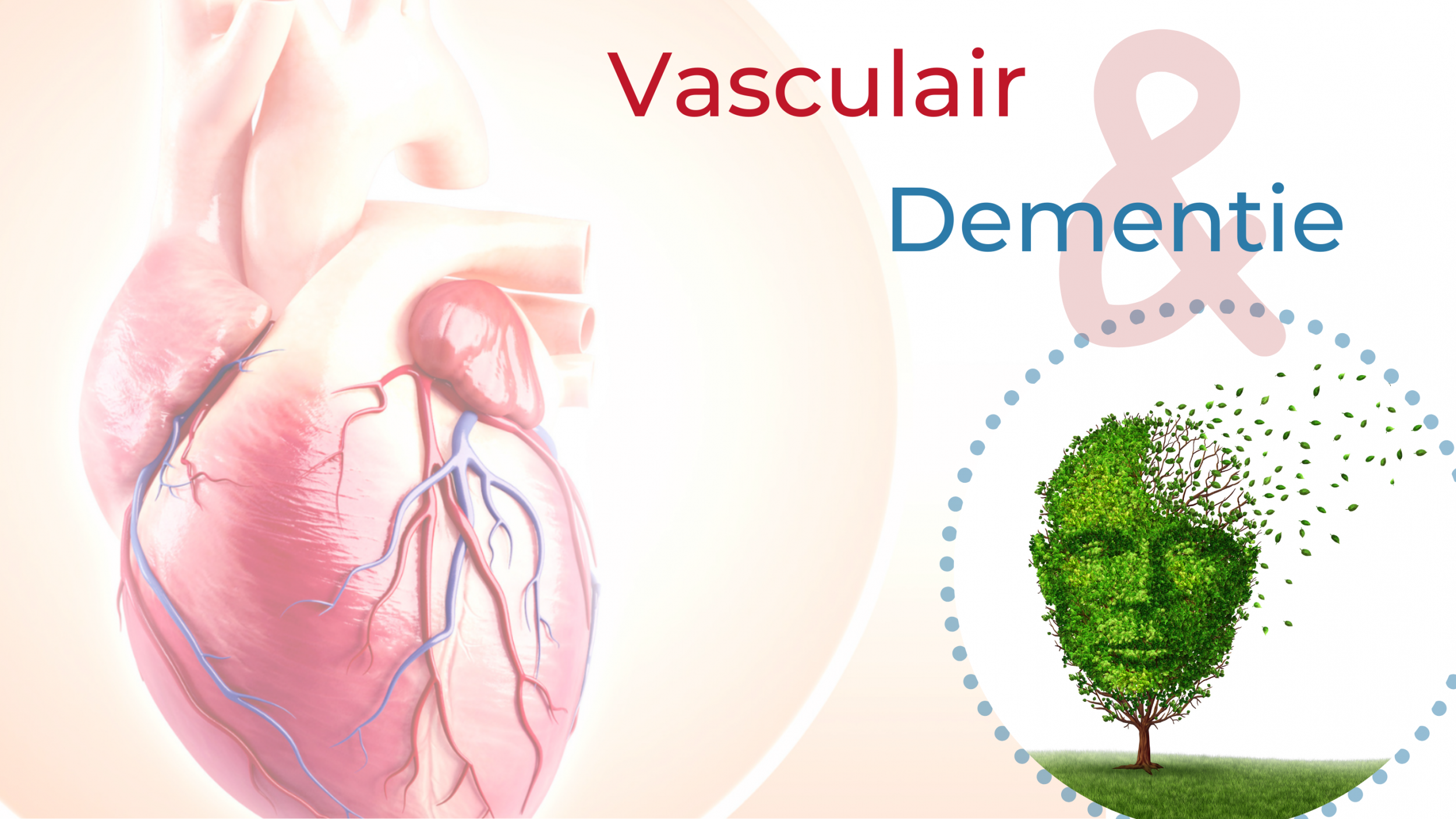1. Vasculair website II scherp3.png