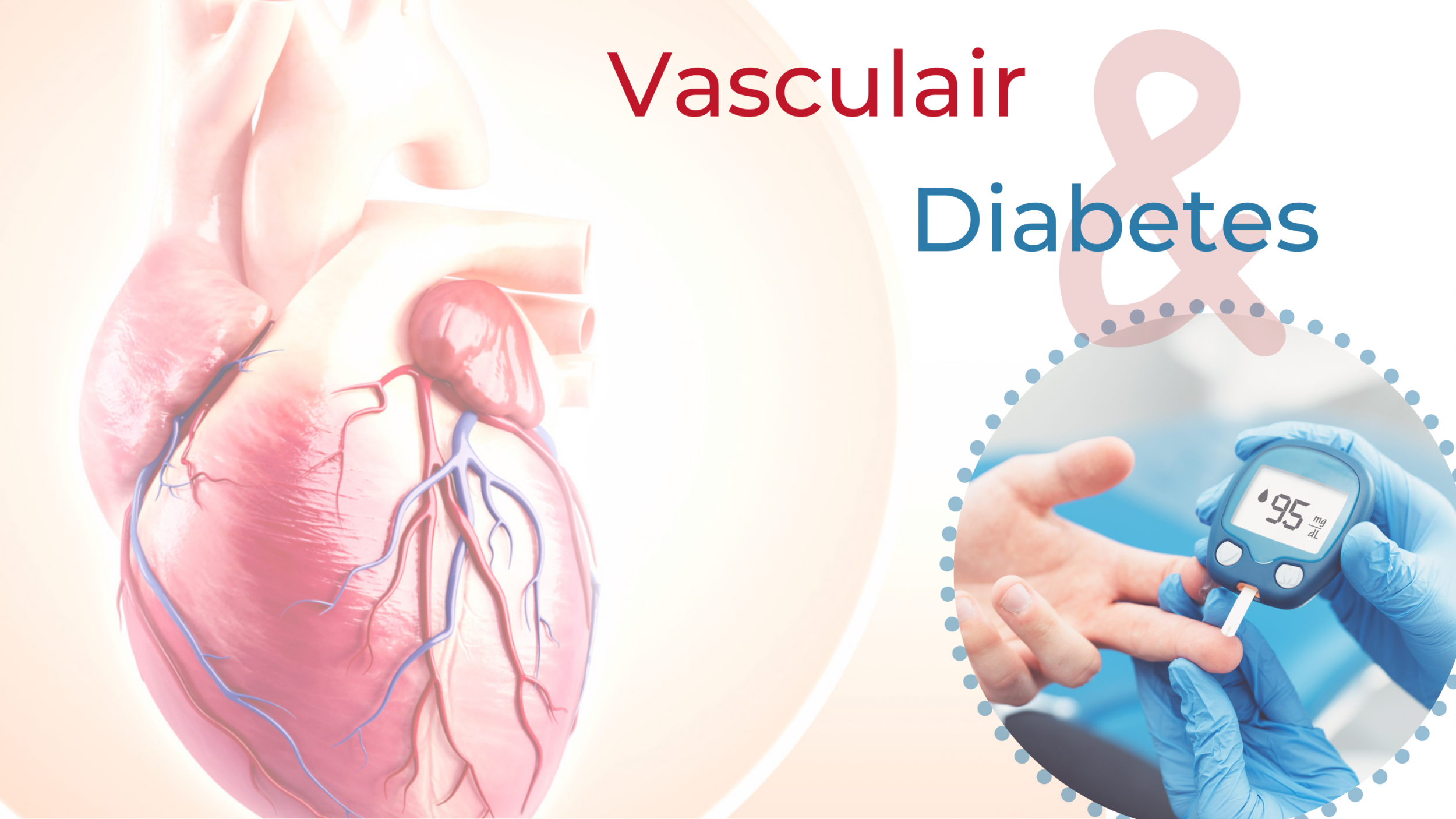 1. Vasculair website II scherp4.png