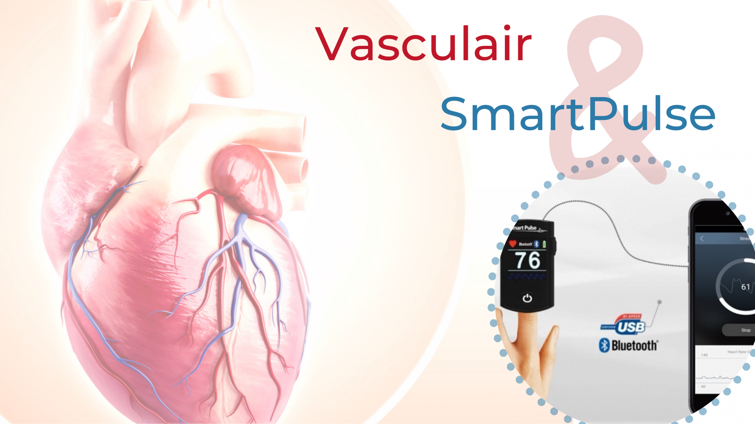 1. Vasculair website II scherp5.png