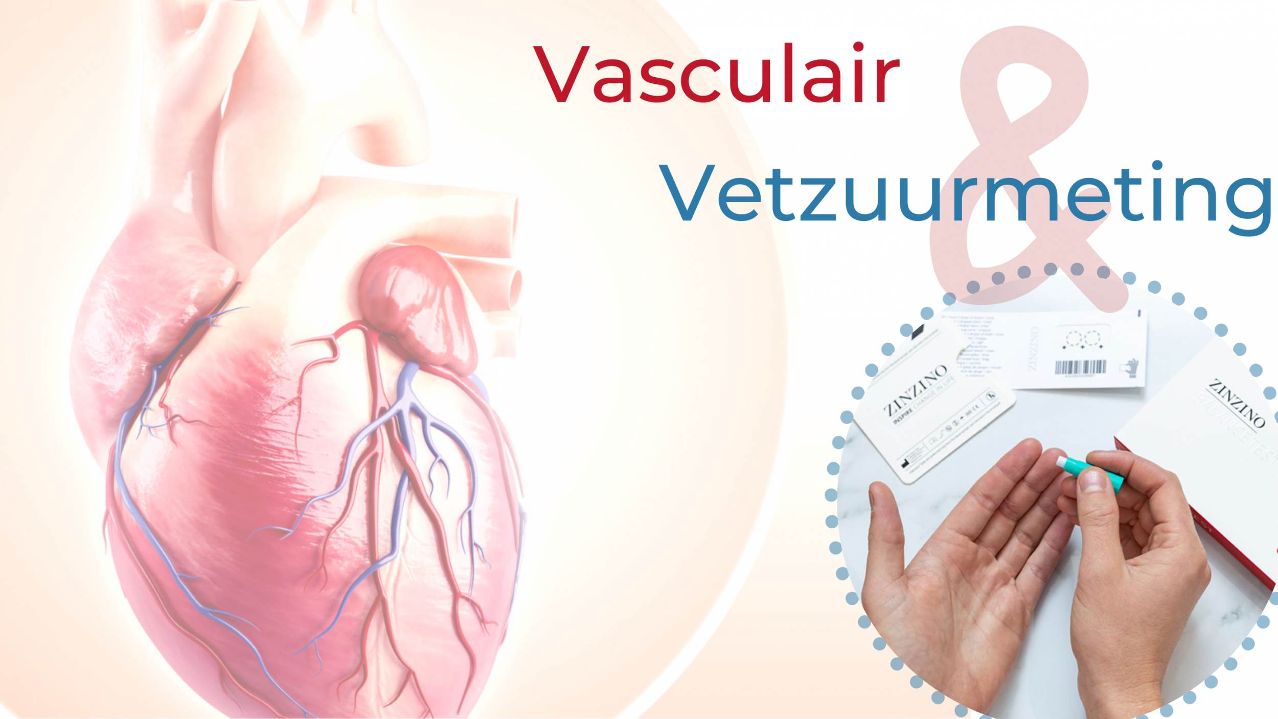 1. Vasculair website II scherp6.png
