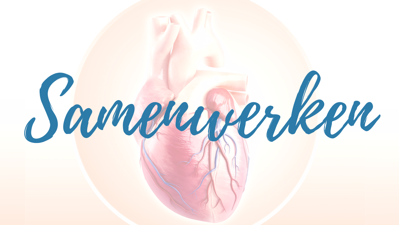 VO | website - samenwerken header.png