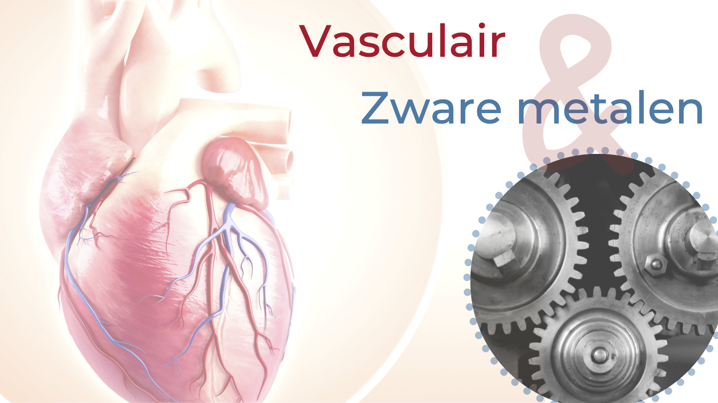 Vasculair therapeut-4.png