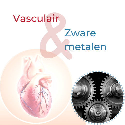 VO-website-aanmelden-zware-metalen-Vasculair-1665580456.png